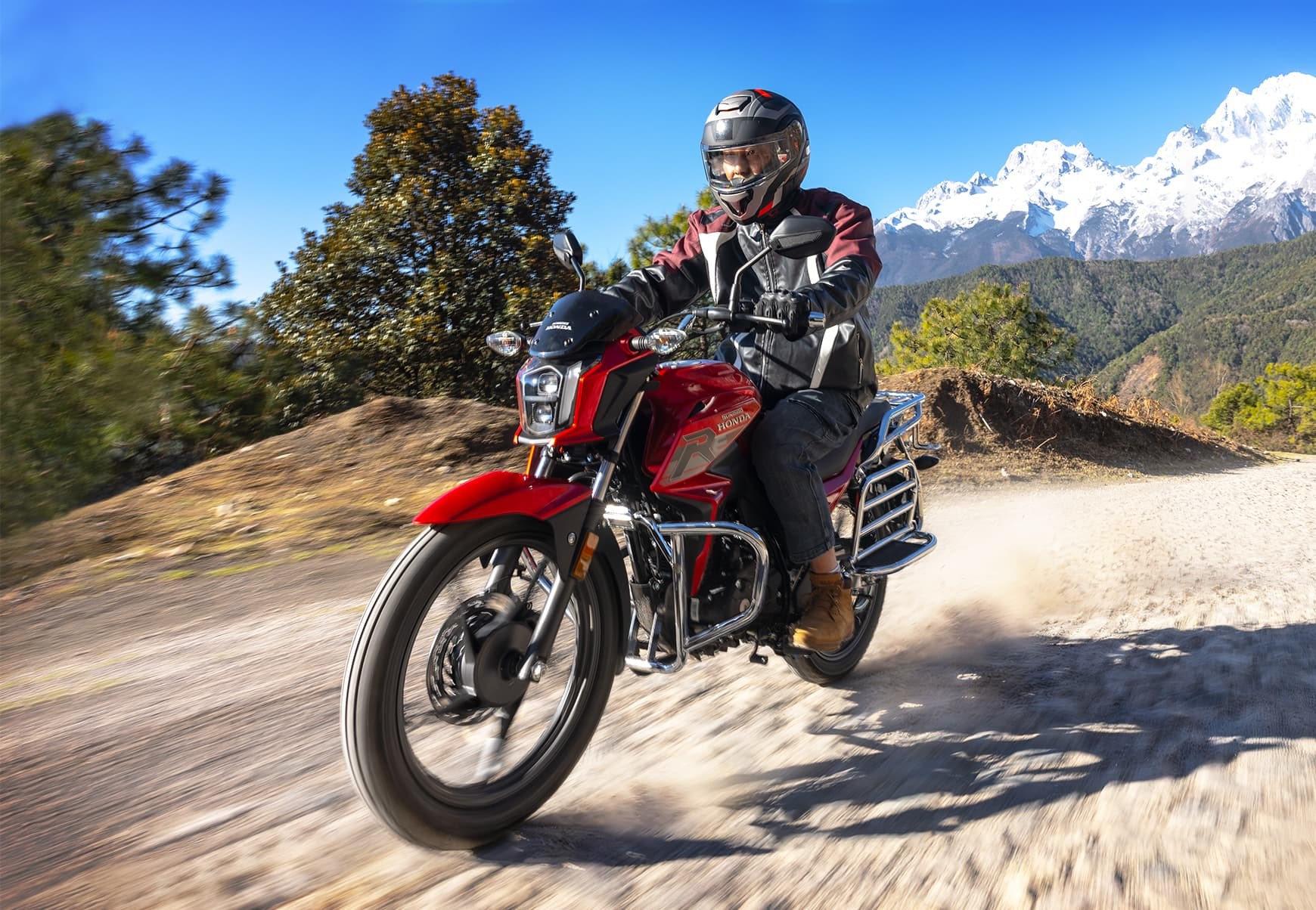 Honda NS150 GX 2024, общий вид