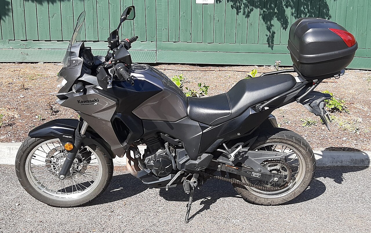 Kawasaki Versys-X 300 2021, общий вид